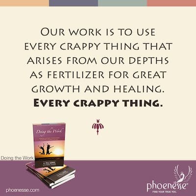 Our work is to use every crappy thing that arises from our depths as fertilizer for great growth and healing. Every crappy thing.