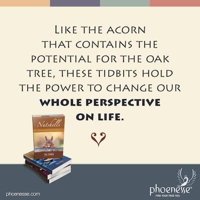 Like the acorn that contains the potential for the oak tree, these tidbits hold the power to change our whole perspective on life.