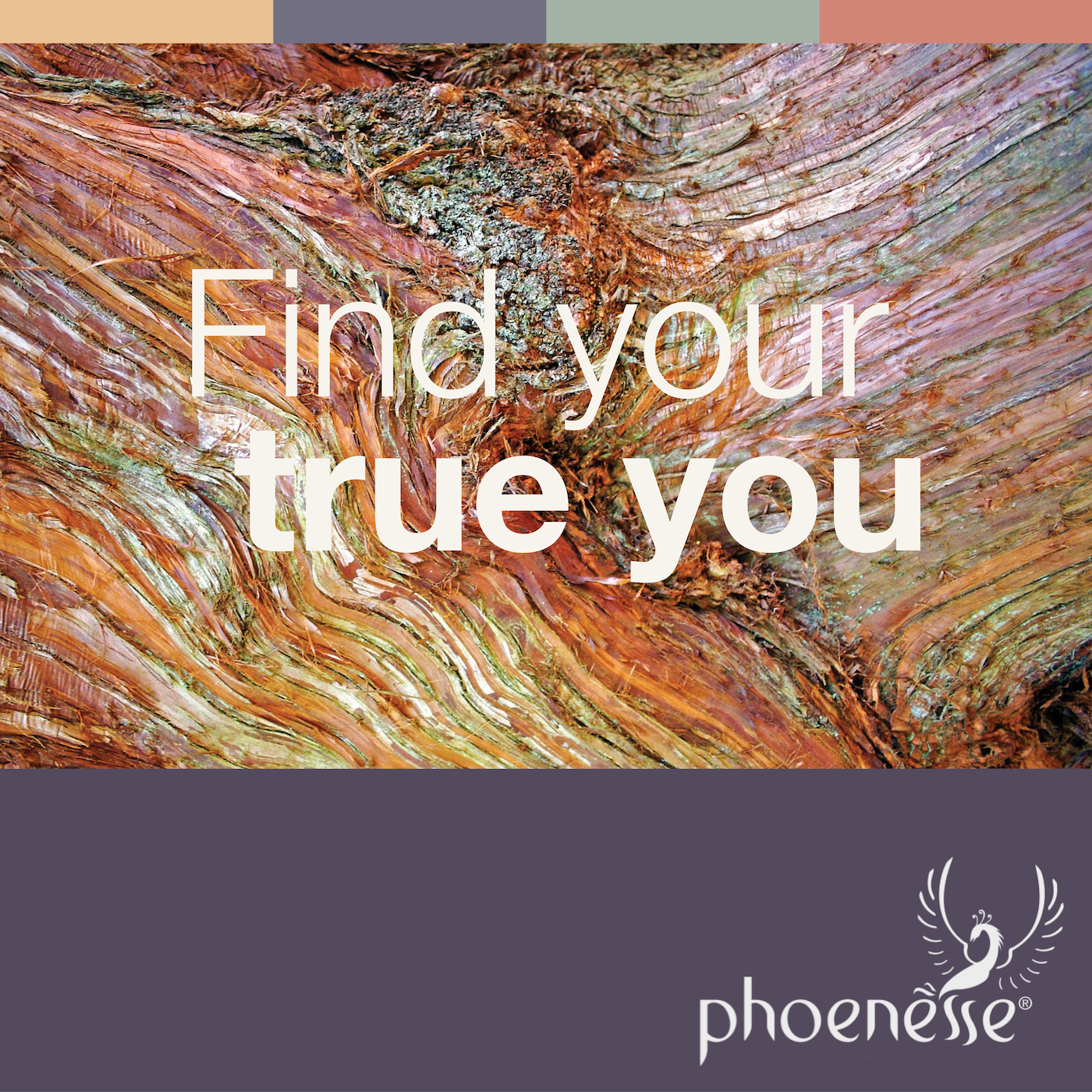 Latest Spiritual Essays cover art