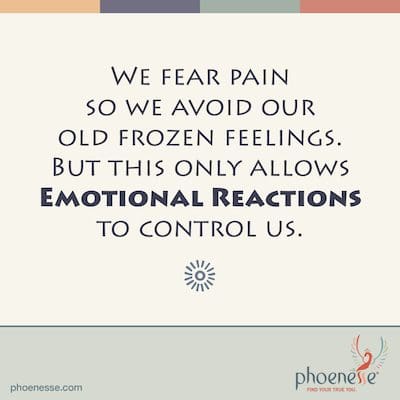 We fear pain because we unconsciously believe it means death. We avoid our old frozen feelings as a way to avoid pain. But this only allows our Emotional Reactions to control us. Blinded by Fear_Phoenesse