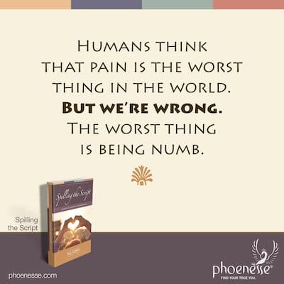 Humans think that pain is the worst thing in the world. But we’re wrong. The worst thing is being numb.