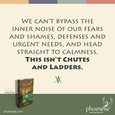 We can’t bypass the inner noise of our fears and shames, defenses and urgent needs, and head straight to calmness. This isn’t Chutes and Ladders.