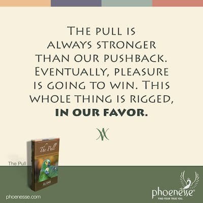 The pull is always stronger than our pushback. Eventually, pleasure is going to win. This whole thing is rigged—in our favor.