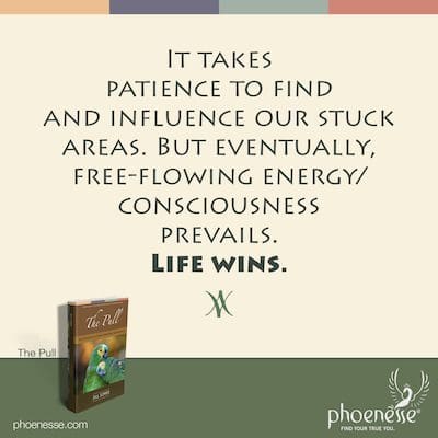 It takes patience to find and influence our stuck areas. But eventually, free-flowing energy/consciousness prevails. Life wins.